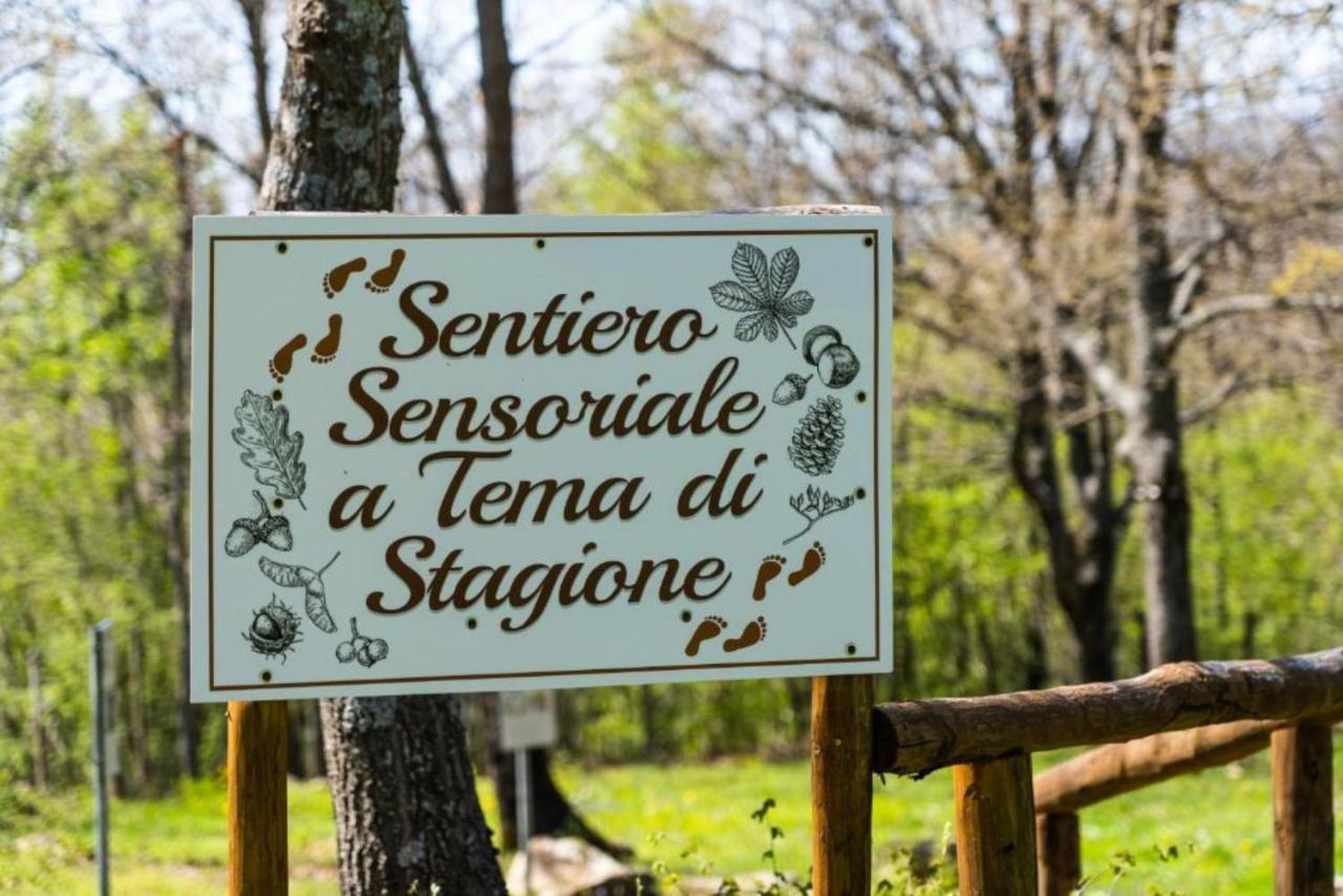 Villaggio Anemone - Chalet Anemone Capanne di Sillano エクステリア 写真